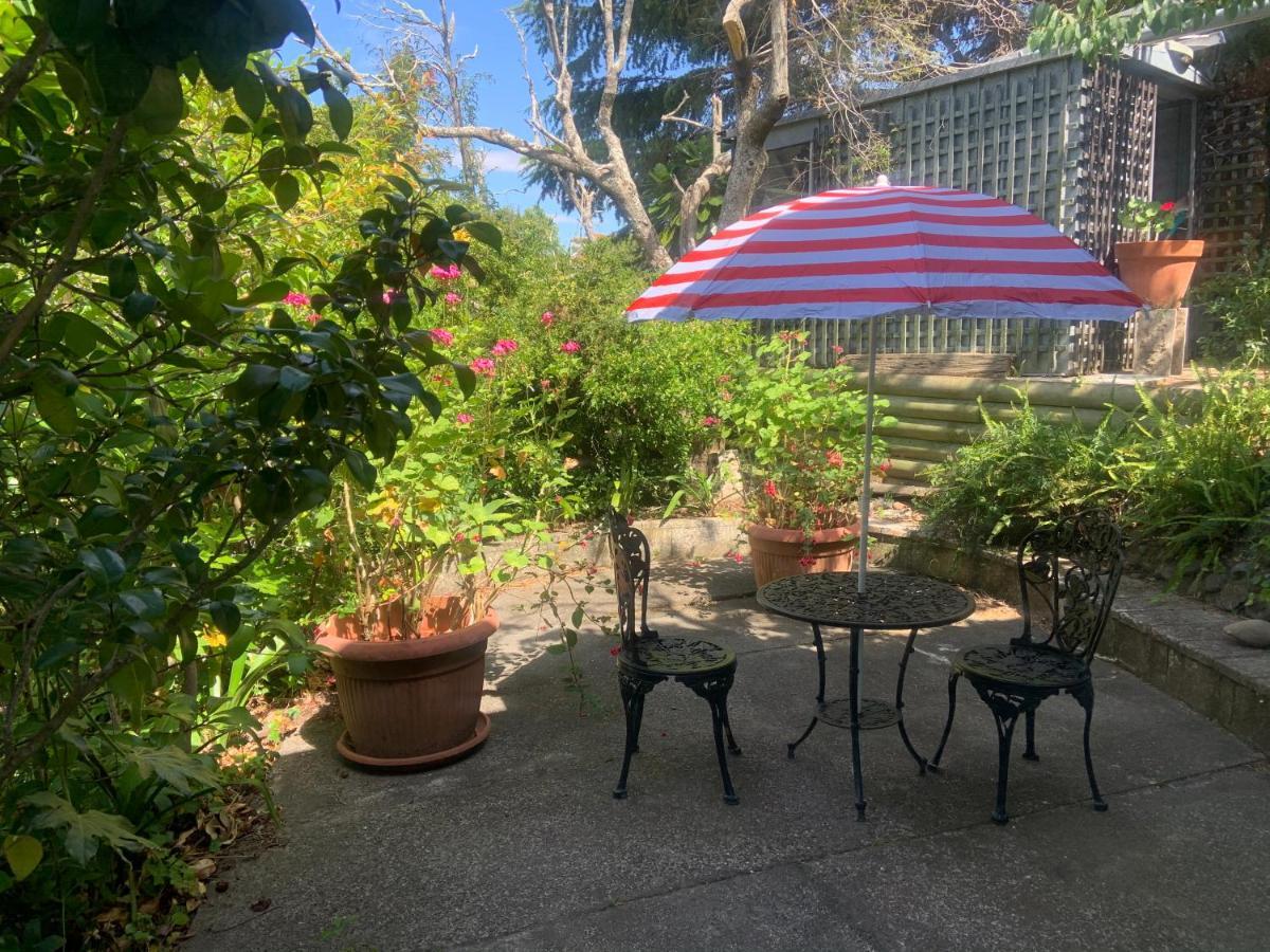 Garden Studio Apartment Havelock North Exterior foto